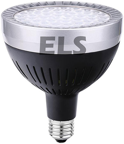ELS 60 watt LED PAR38 Lamp
